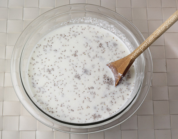 coconut-chia-protein-pudding-whey