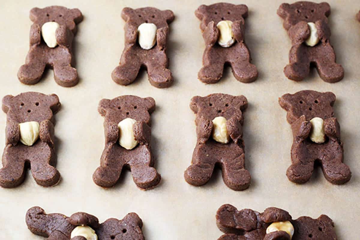 several unbaked chocolate teddy bear shaped cookies with their arms pulled up to hold a hazelnut on a sheet of unbleached parchment paper