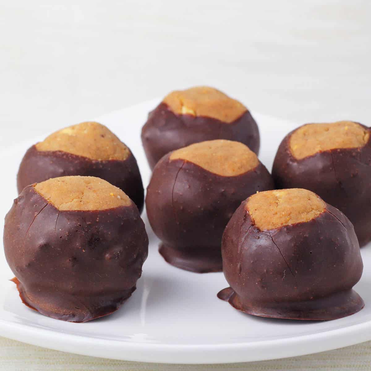 six buckeye treats on a white plate