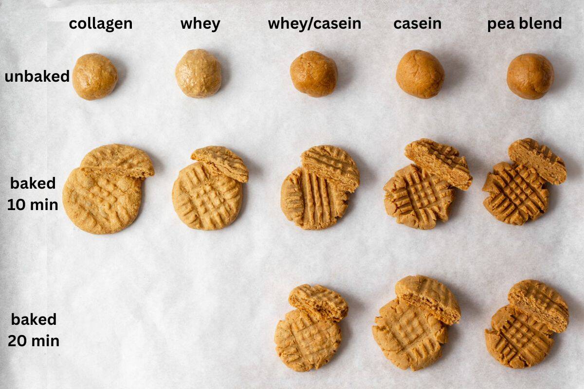 comparison of peanut butter protein cookies made with different types of protein powder.