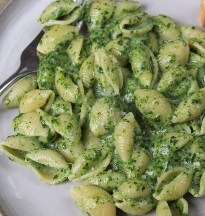 pasta shells with creamy pesto sauce on a plate with a fork.