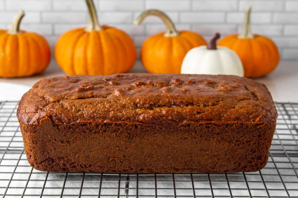 loaf of high protein pumpkin bread on a wire cooling rack surrounded by decorative mini pumpkins.