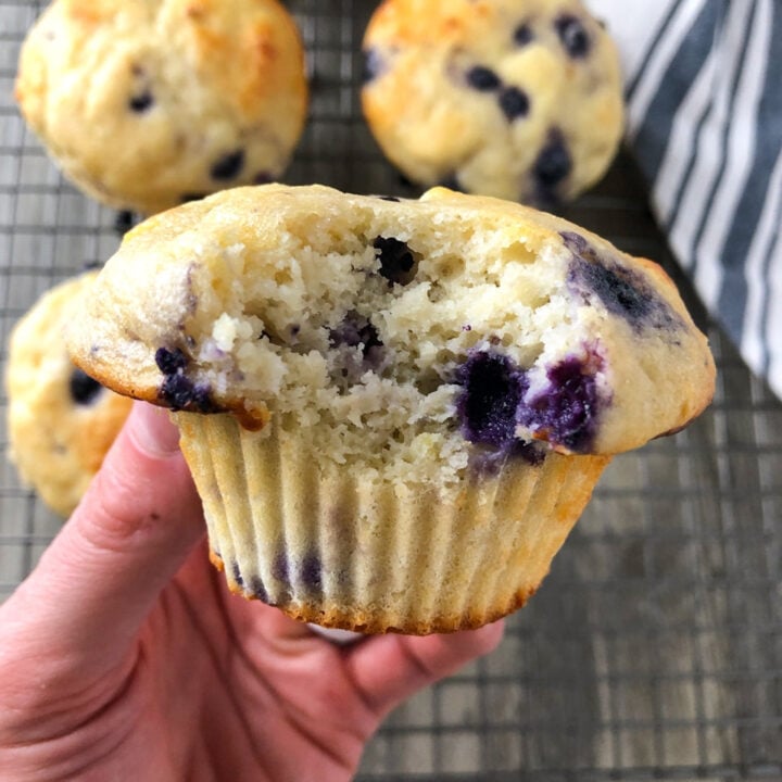blueberry protein muffin in hand, with a few bites taken out.