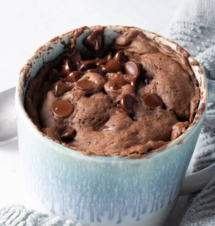 Delicious high-protein chocolate mug cake with chocolate chips, perfect for a nutritious dessert or snack.