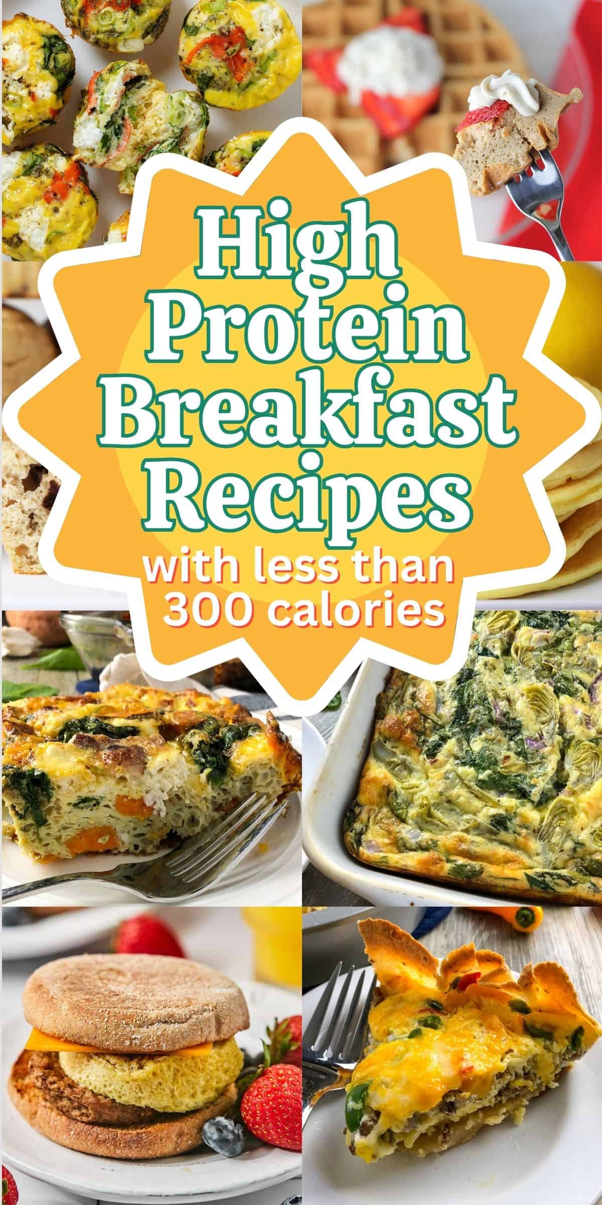 20 High Protein Low Calorie Breakfast Recipes - proteincakery.com